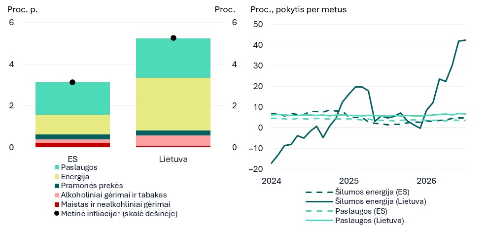 Kodėl Lietuvoje infliacija viena didžiausių visoje Europos Sąjungoje?