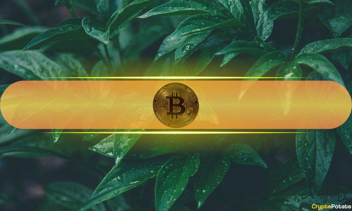„Bitcoin Eye“ 110 000 USD ir kriptovaliutų rinkos atsitraukia, nes Trumpas atideda tarifus ES