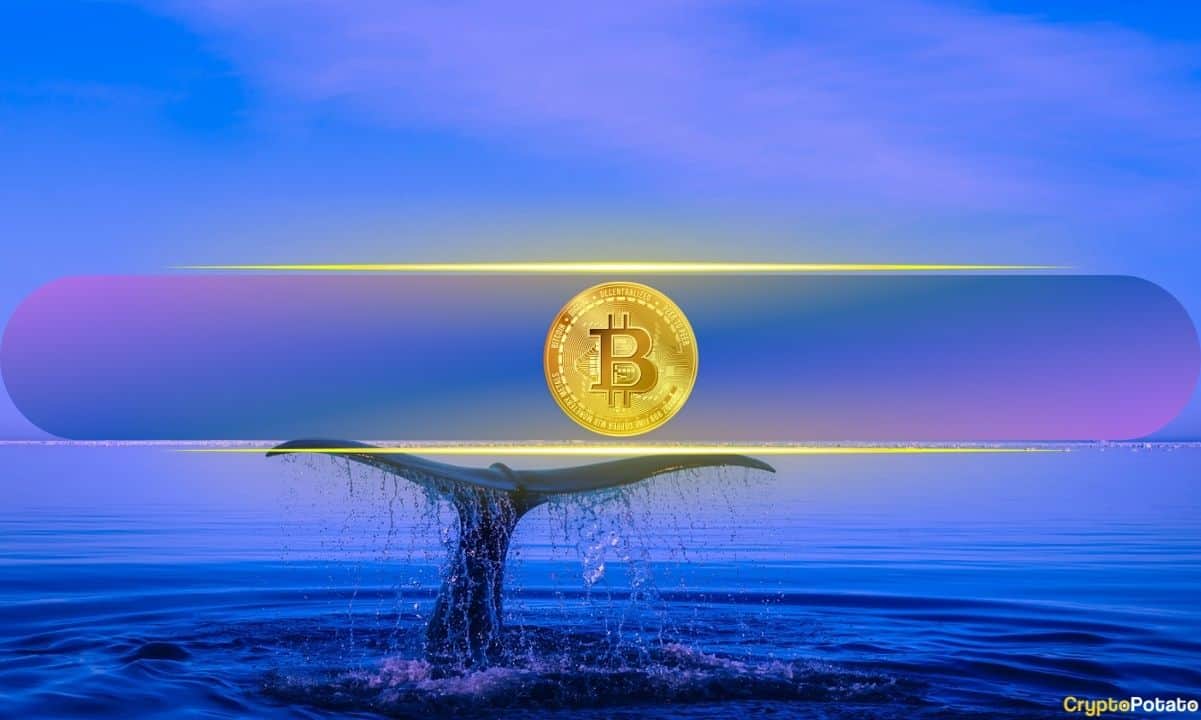 Nauja kohorta nuo kovo prideda 3,1% BTC tiekimo