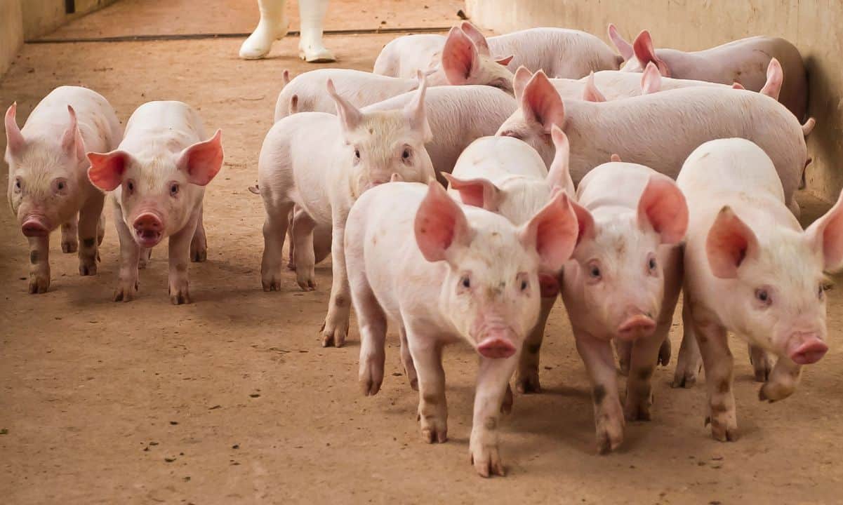 Pririšta padeda DOJ 225 mln