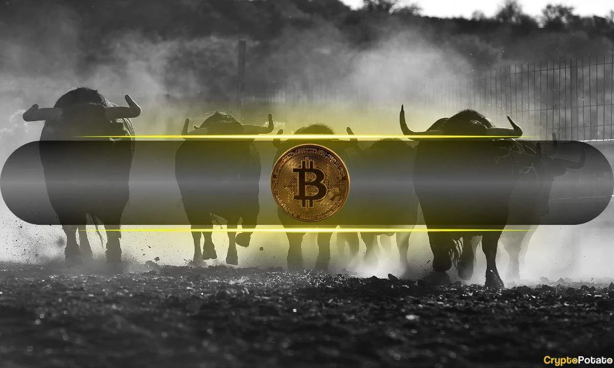 Ar šiandienos 165B USD „Crypto Market“ ralis yra didžiulės bulių bėgimo pradžia?