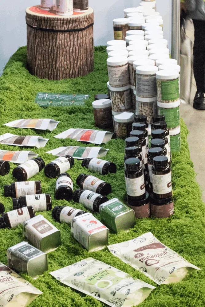 Moters pasaulis 2025