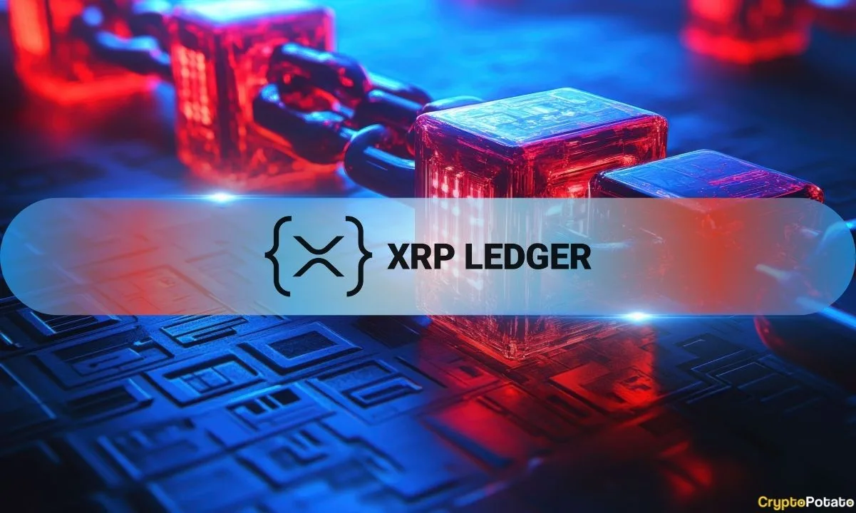 XRP Ledger mato 8,9 % kasdienių operacijų padidėjimą, NFT aktyvumo padidėjimą trečiąjį ketvirtį