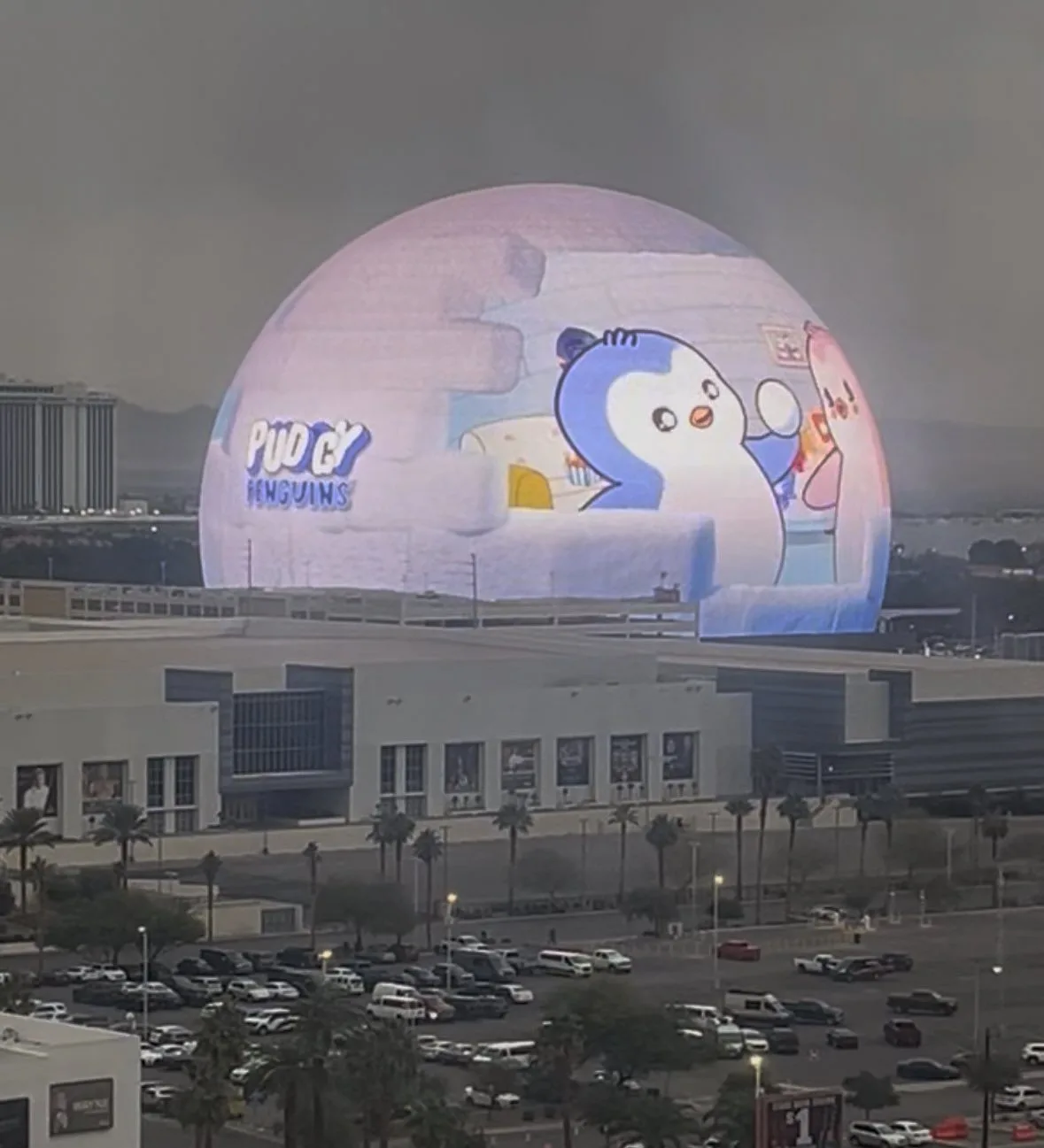 „$POLLY“ ant Solana: Bendruomenės spėlionės ir galimas asimetriškumas