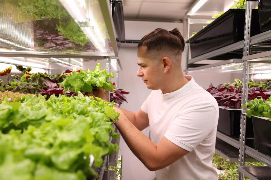 Agronomijos mokslų daktaras Gediminas Kudirka: nuo studijų VDU iki giliųjų agrotechnologijų startuolio „Freya Cultivation Systems“ įkūrimo