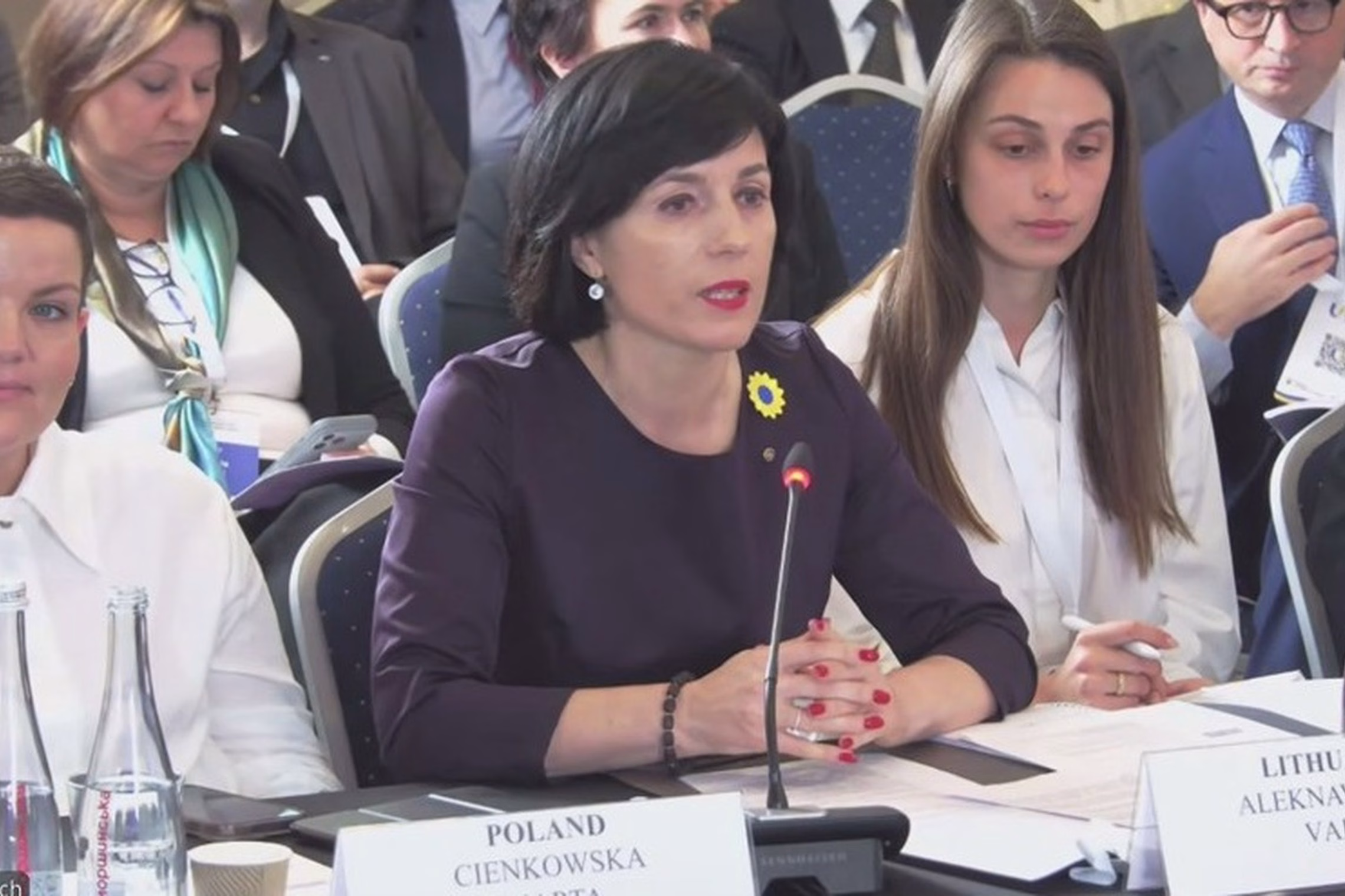 Kultūros ministrė Vaida Aleknavičienė dalyvavo tarptautinėje Ukrainos kultūros konferencijoje Lvive