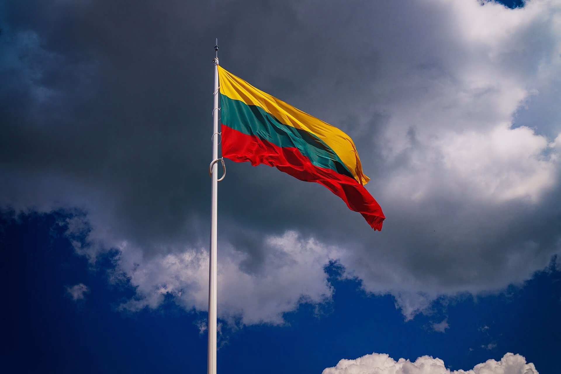 Lithuanian Flag (54000083724)