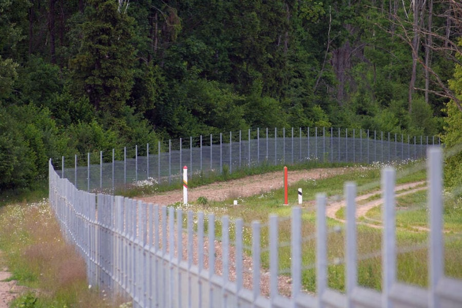 Lithuania-Belarus border (2008)