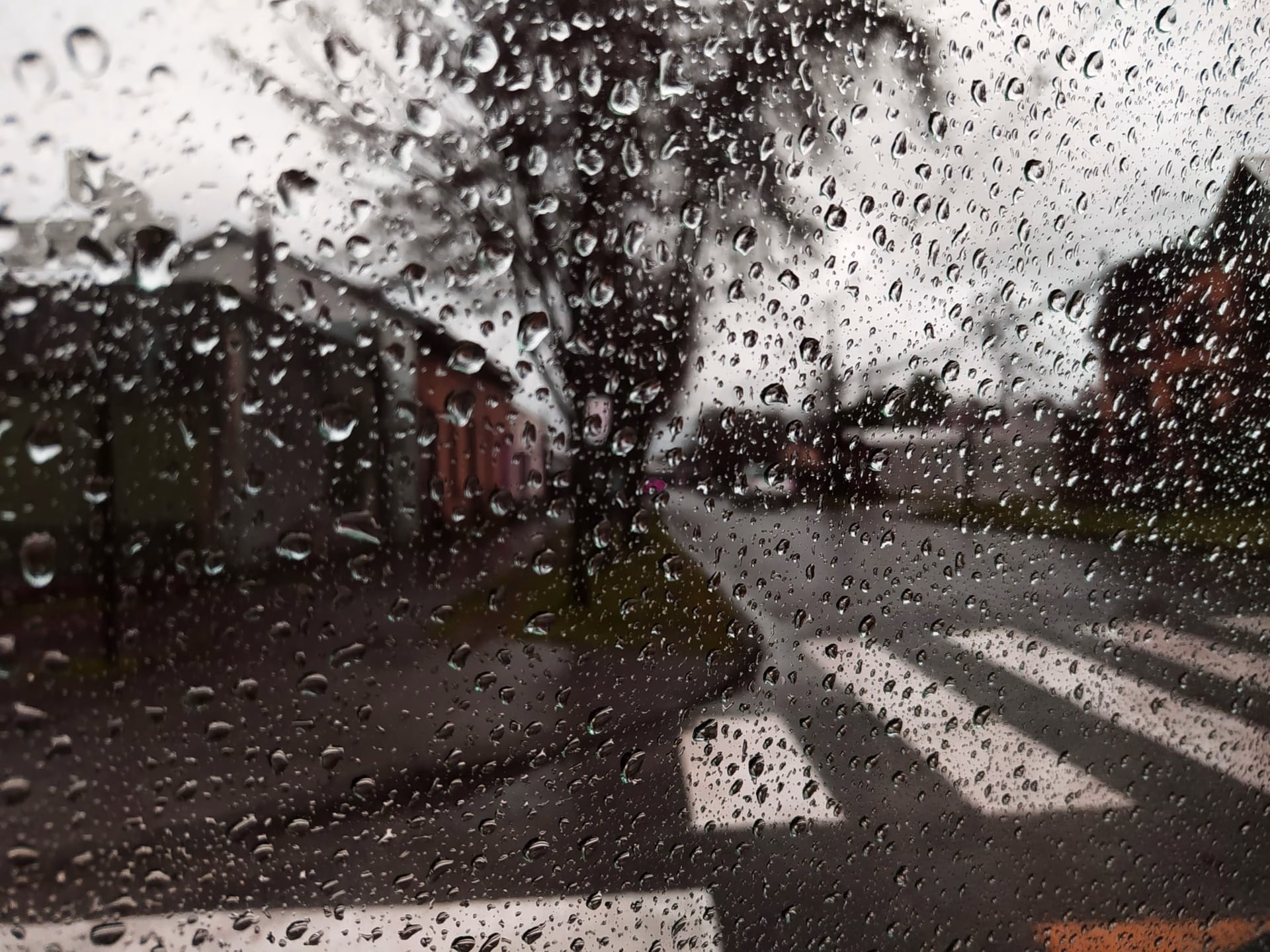 A rainy day street