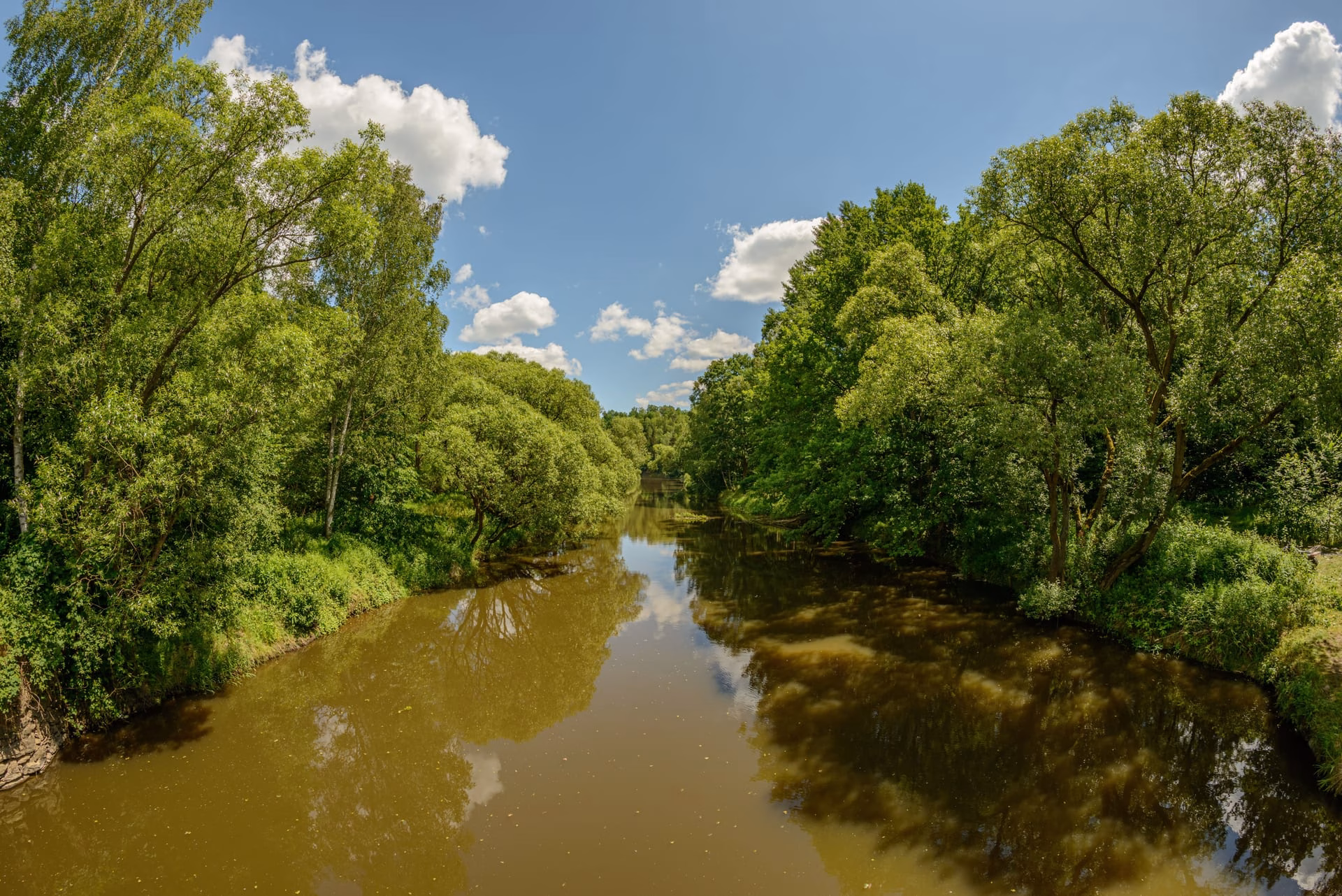 Peaceful river reflecting trees and clouds in a vibrant green forest on a sunny day.